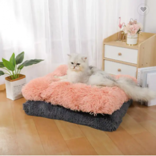 dog bed cat bed